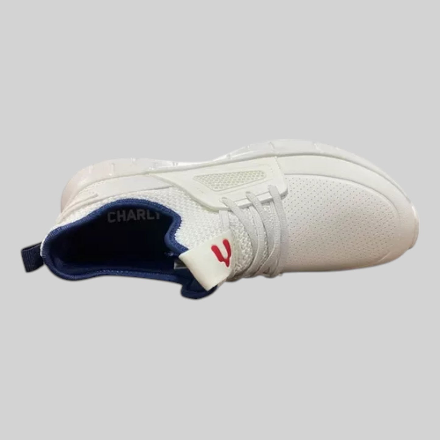 Tenis Charly Hombre Deportivos Trainning 1086209004