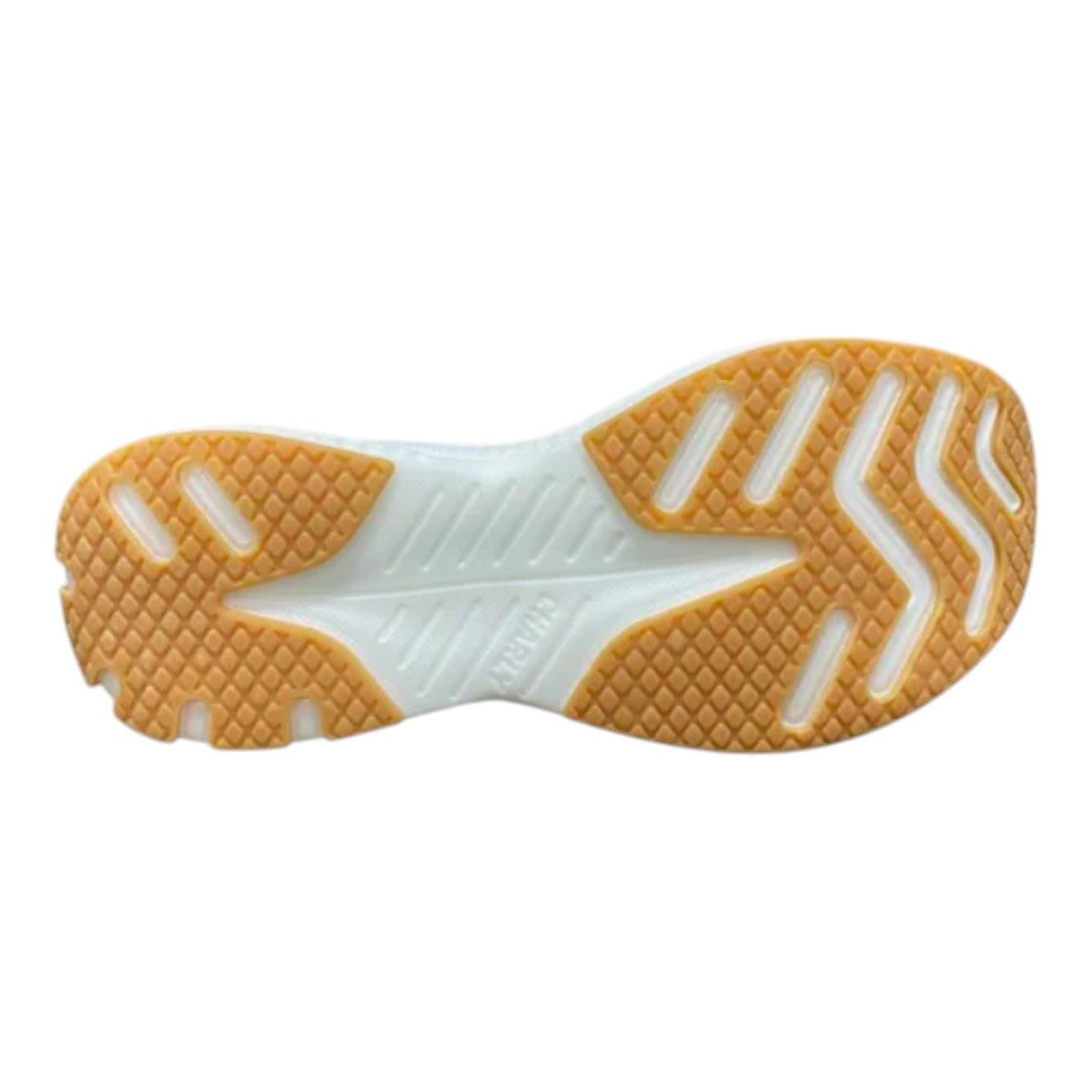 Tenis Charly Hombre Deportivos Running 1086101003