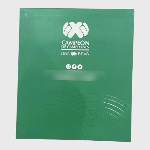 Jersey Charly Hombre León Conmemorativo 21/22 5019215300 Verde